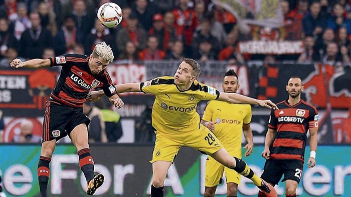 《驯龙高手：旅程》预抽卡活动开启